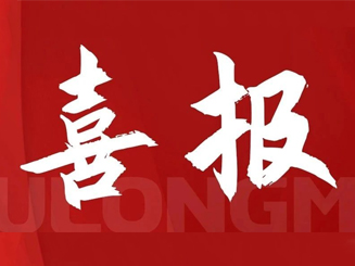 福龙马集团总裁张西泠荣获“福建省非公有制经济优秀建设者”称号